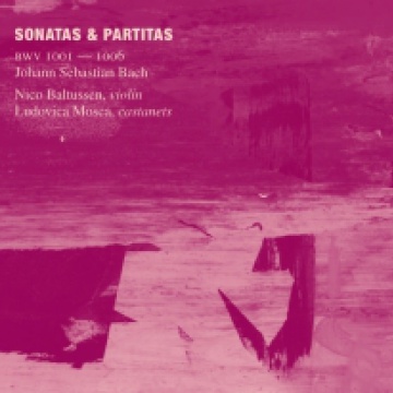 Sonatas & Partitas BWV 1001 - 1006